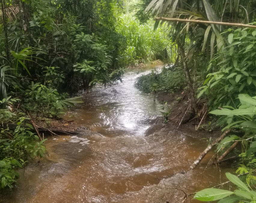 The creek at Thrive is a season creek and only runs during the rainy season, half of the year.
